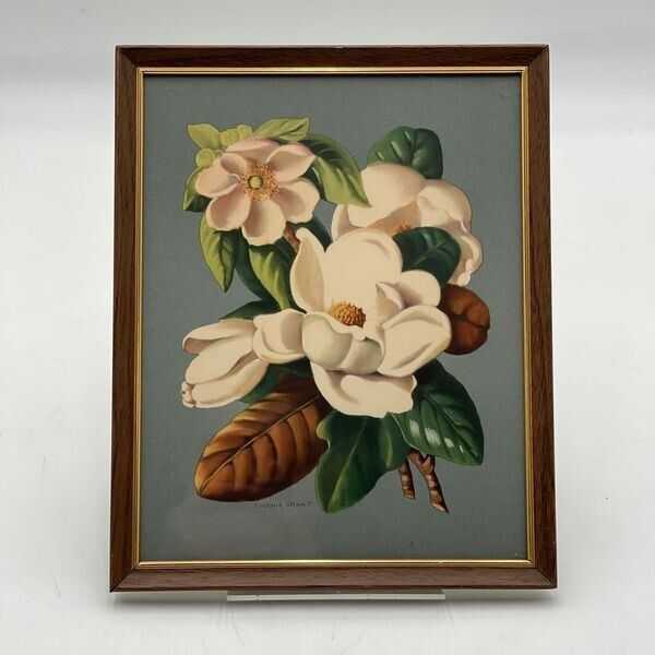 10x8 Eugenia Grant Art Piece Beautiful Pastels Floral Framed