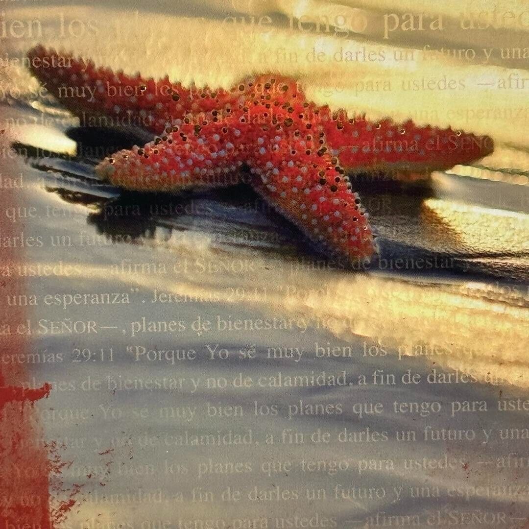 Christian Art Gifts 6x9 Spanish Beach Starfish Prayer Notepad Journal Notebook