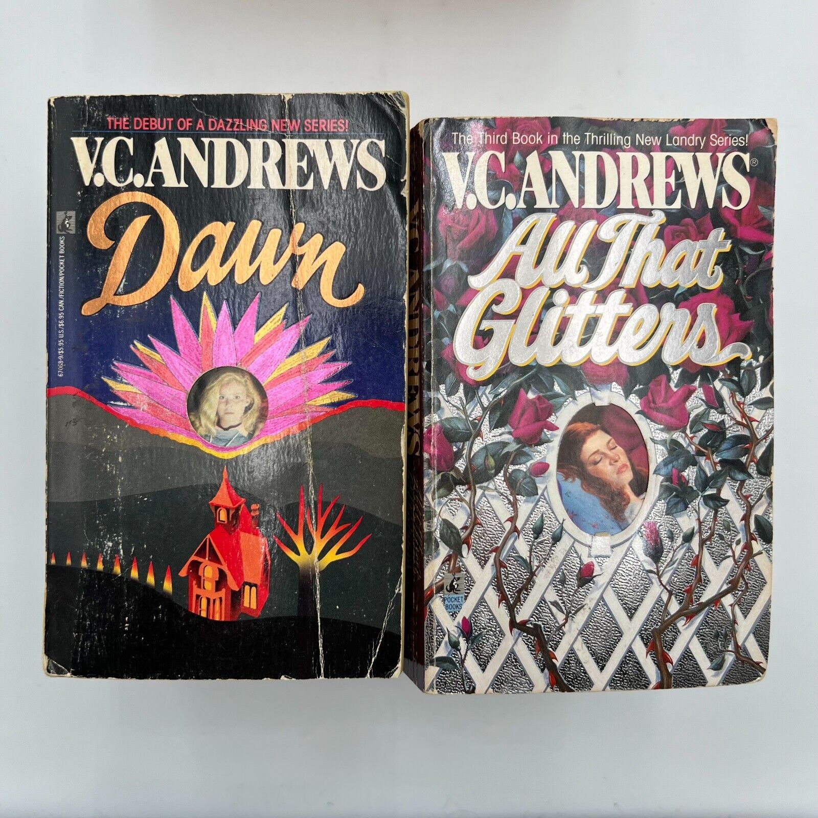 Lot Of 23 Books by V.C. Andrews Drama Gothic Horror Variety Paperback Books Lot