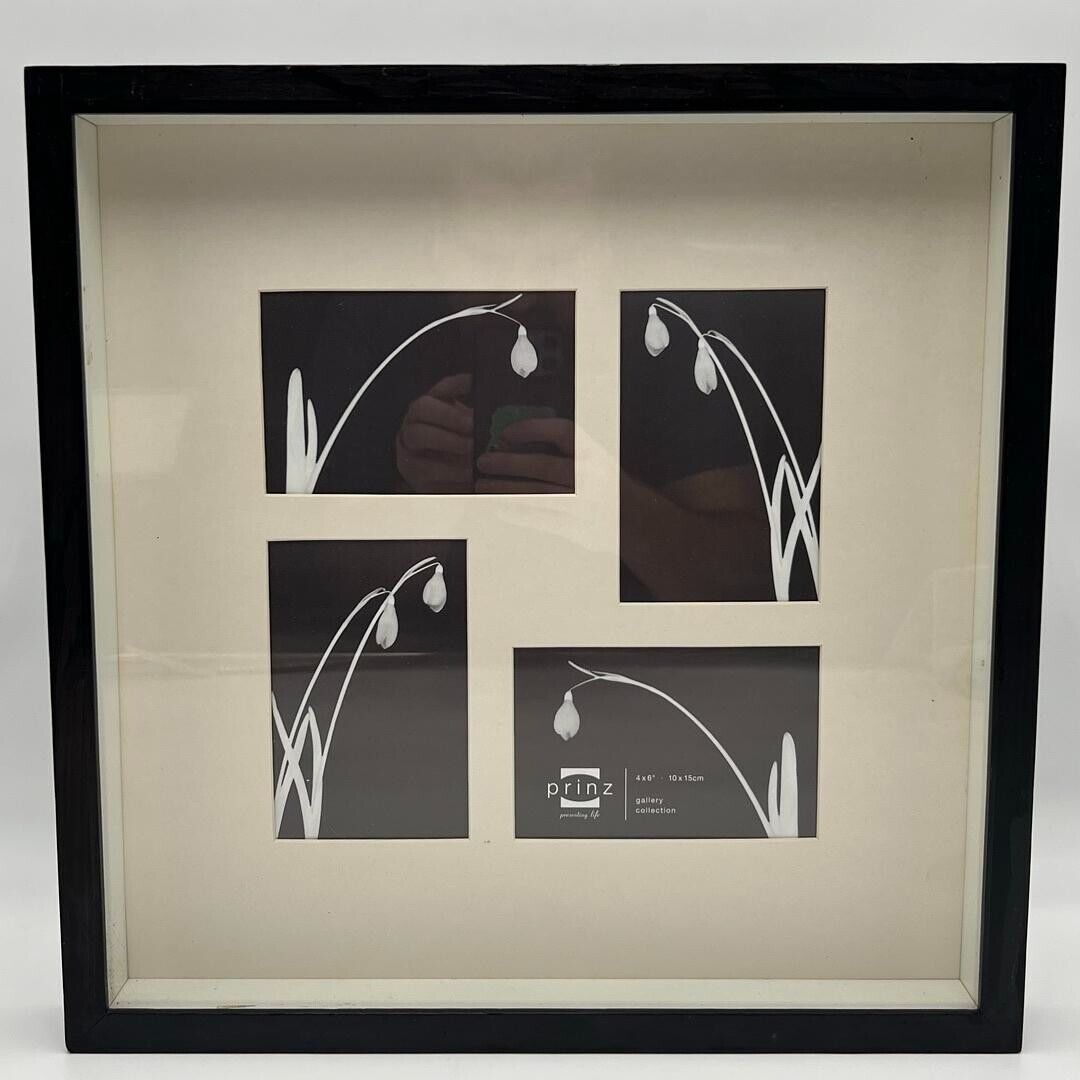 Prinz Shadow Box Glass Picture Frame Holds 4 4x6 Prints Black Wood New 17x17x2