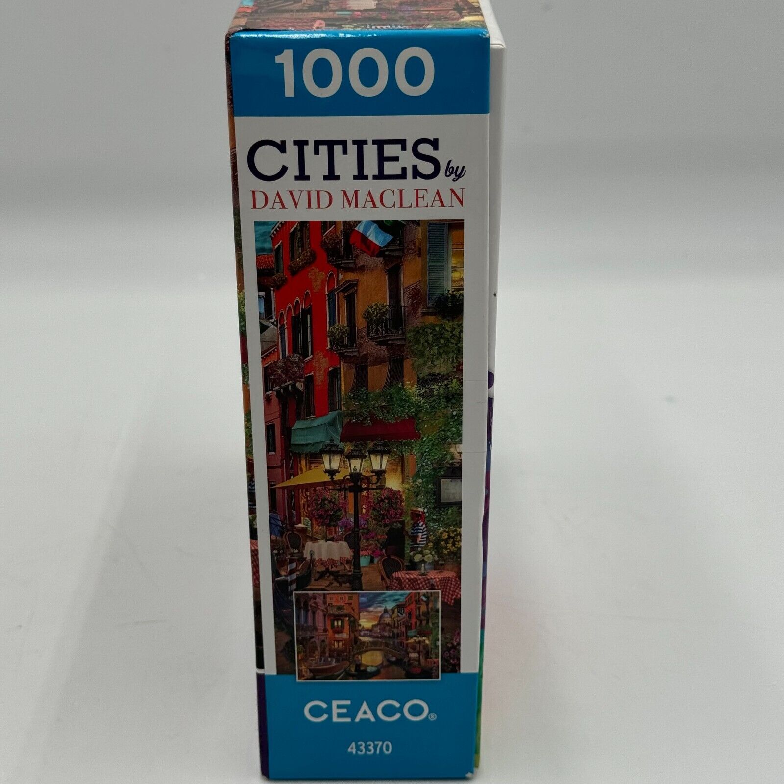 VENICE CITIES by David Maclean Jigsaw Puzzle 1000 Pieces Ceaco Poster