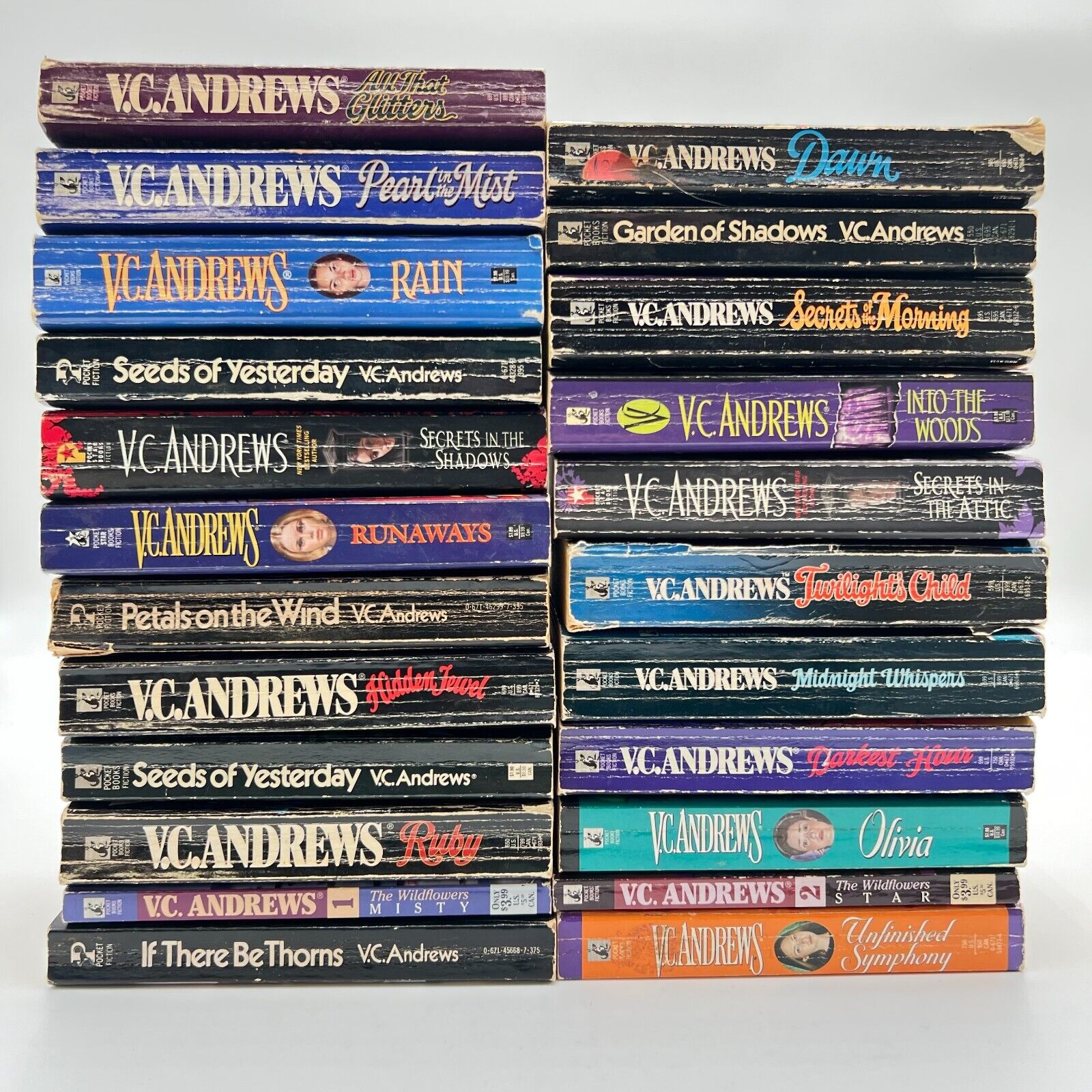 Lot Of 23 Books by V.C. Andrews Drama Gothic Horror Variety Paperback Books Lot