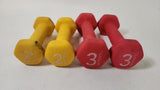 Embark Pair of 2 & 3 lb Dumbbell Weights Set Home Workout