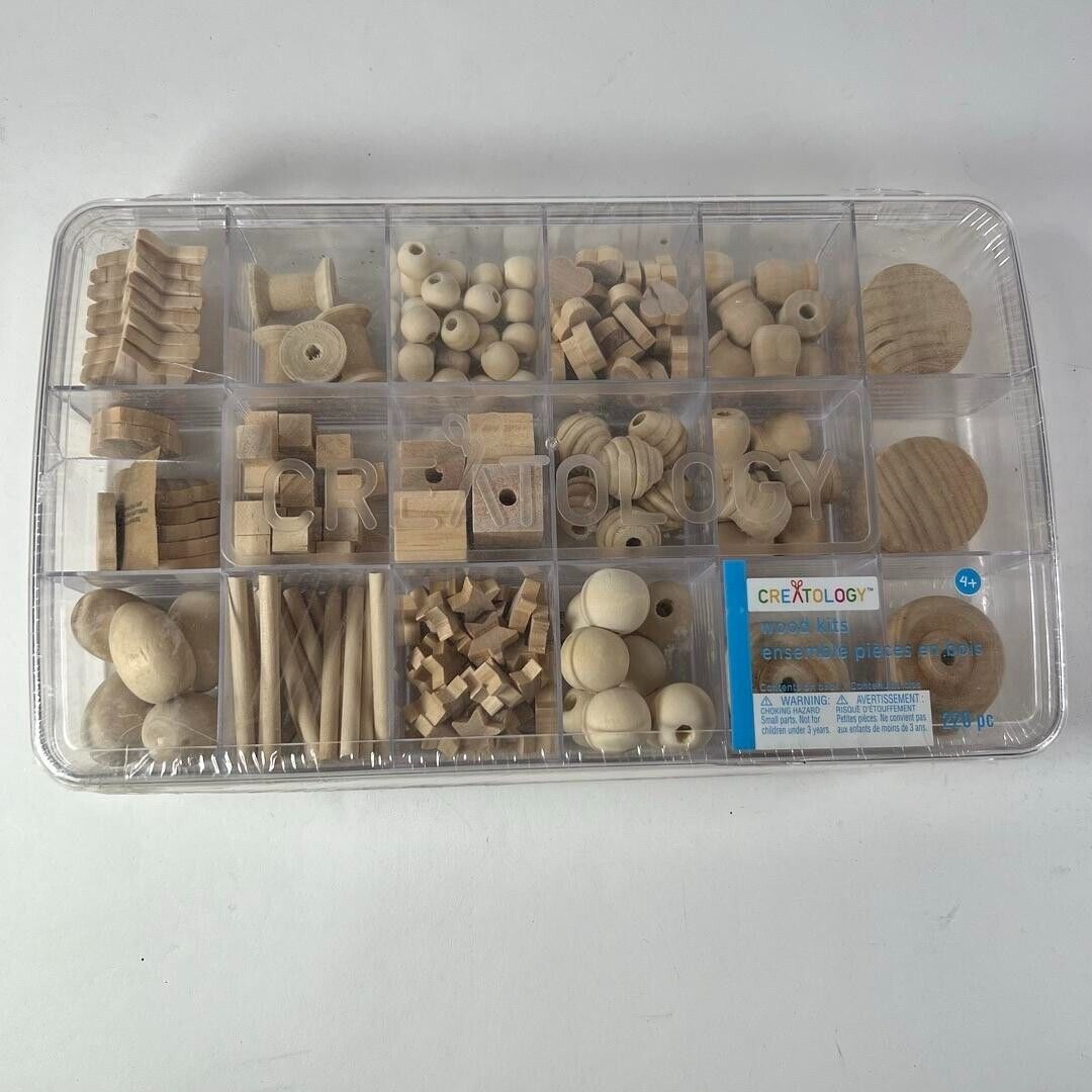 Wood Crafting Assortment Kit by Creatology - New Sealed