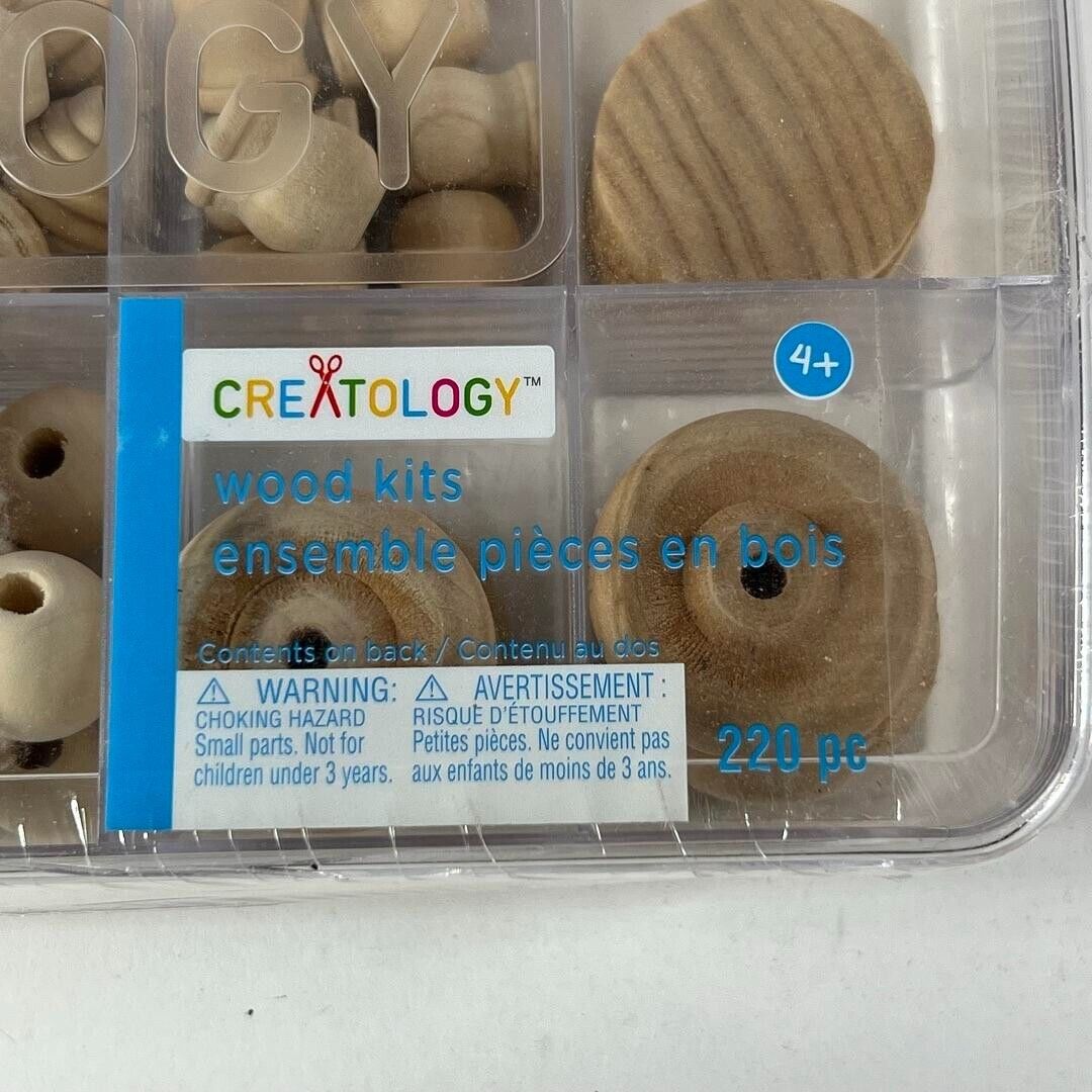 Wood Crafting Assortment Kit by Creatology - New Sealed