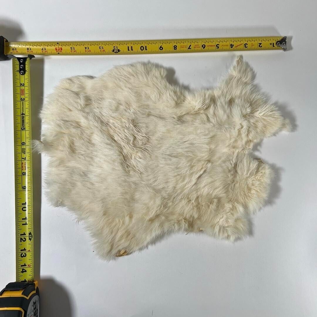 Assorted Real Fur Pelts - Animal Furs