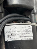 Caldera Spa Pump Relia-Flo XP2 2.0 HP Century Pool & Spa WW-E Series 230/115V