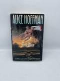 Turtle Moon by Alice Hoffman (Hardcover)