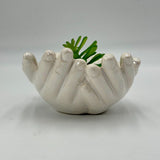 Ceramic Cupped Hands Holding Succulent in Rocks Artificial Fake Plant While Pot