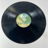 Gordon Lightfoot – Endless Wire Vinyl LP Warner Brothers 1978 - Blank Sleeve