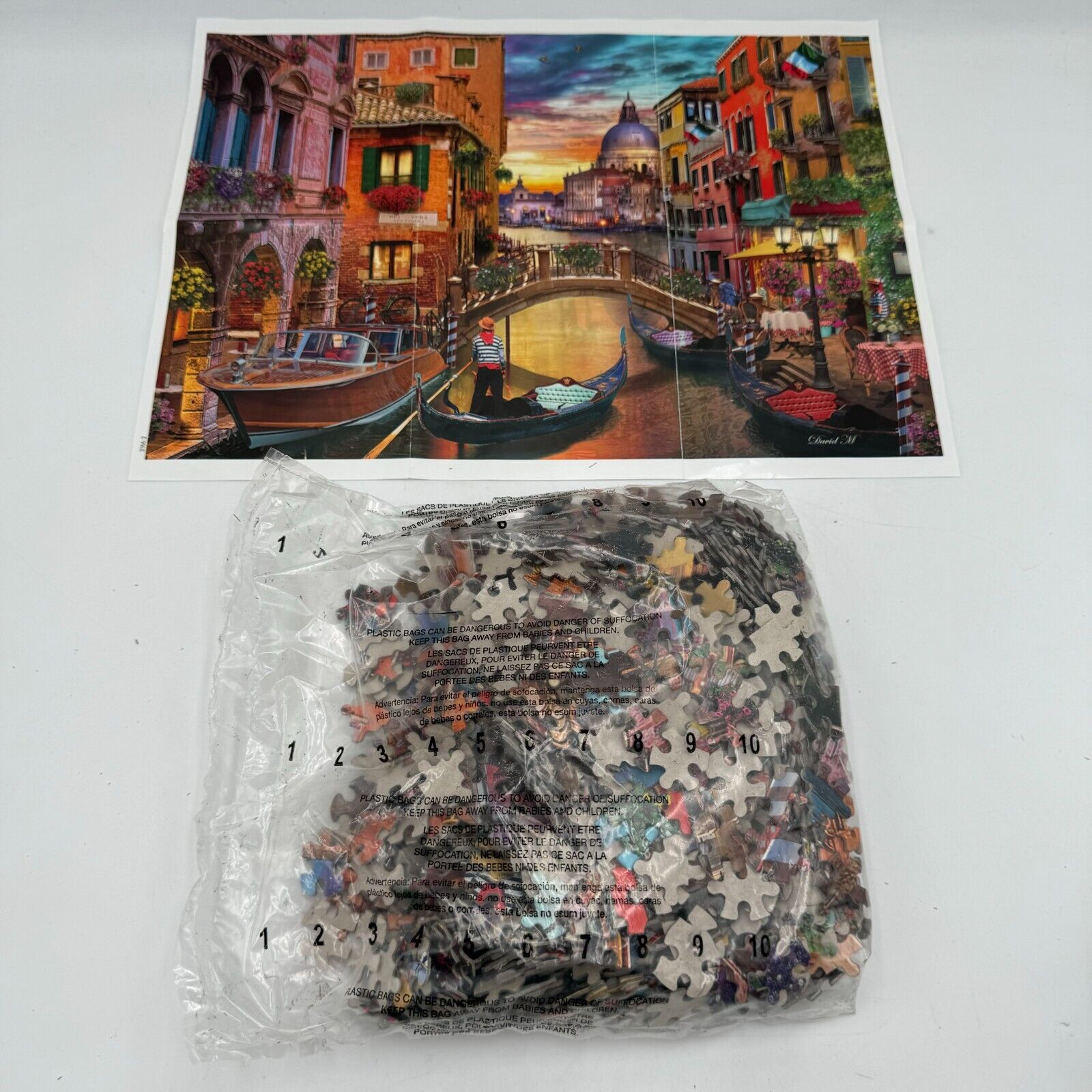 VENICE CITIES by David Maclean Jigsaw Puzzle 1000 Pieces Ceaco Poster