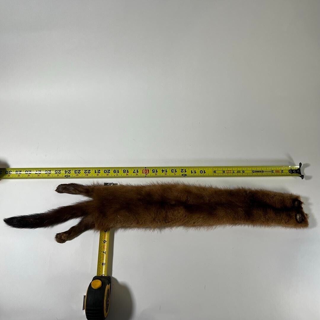 Assorted Real Fur Pelts - Animal Furs