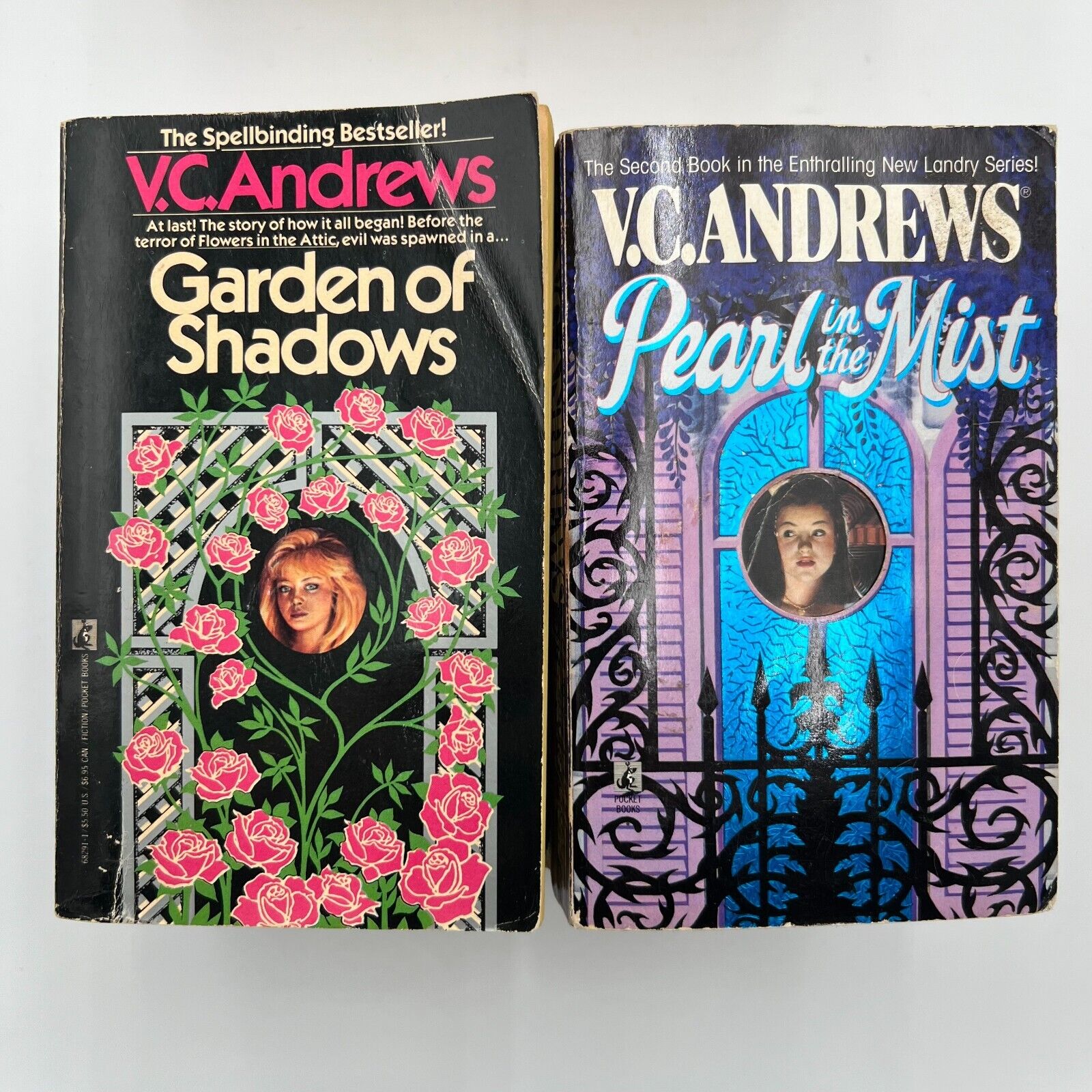 Lot Of 23 Books by V.C. Andrews Drama Gothic Horror Variety Paperback Books Lot