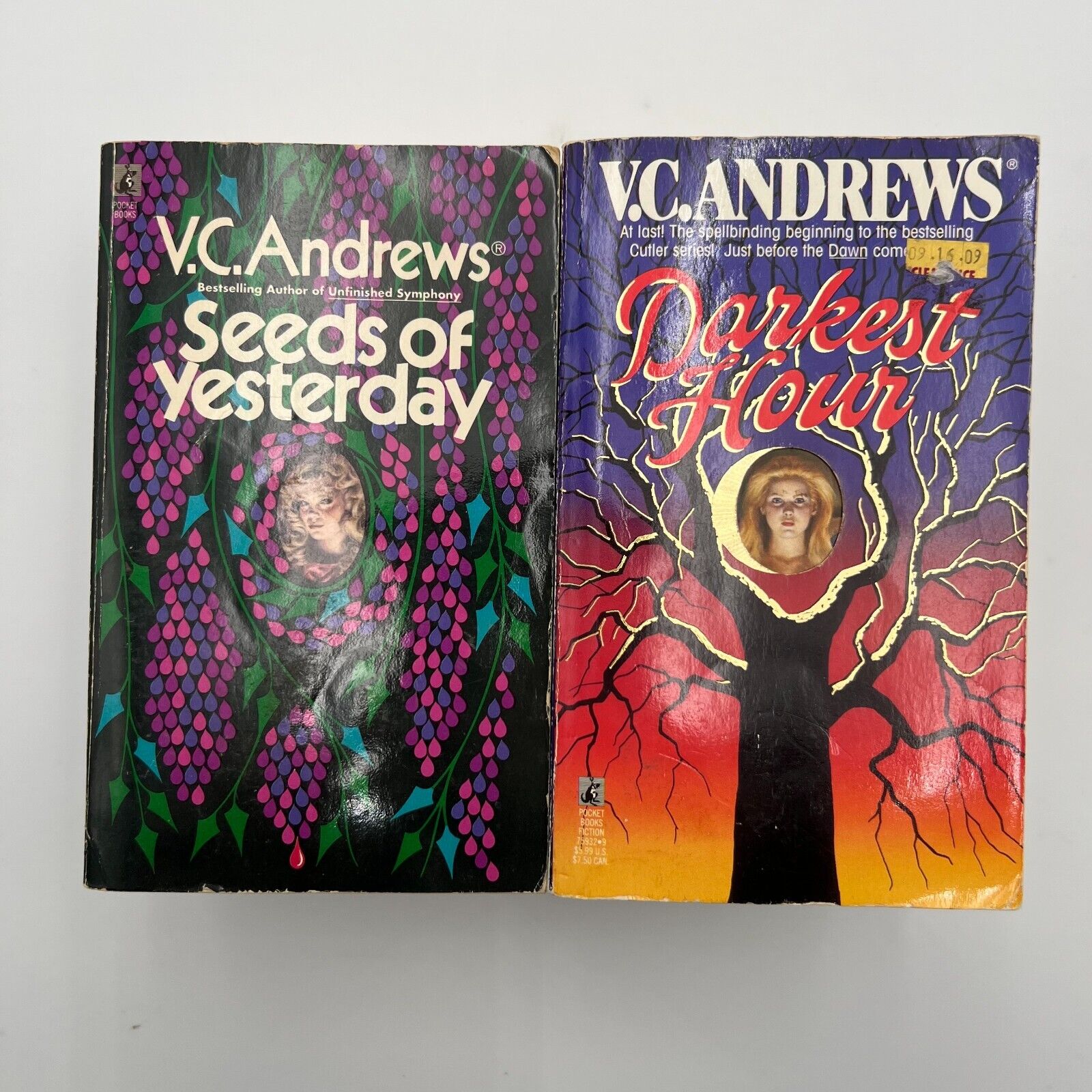 Lot Of 23 Books by V.C. Andrews Drama Gothic Horror Variety Paperback Books Lot