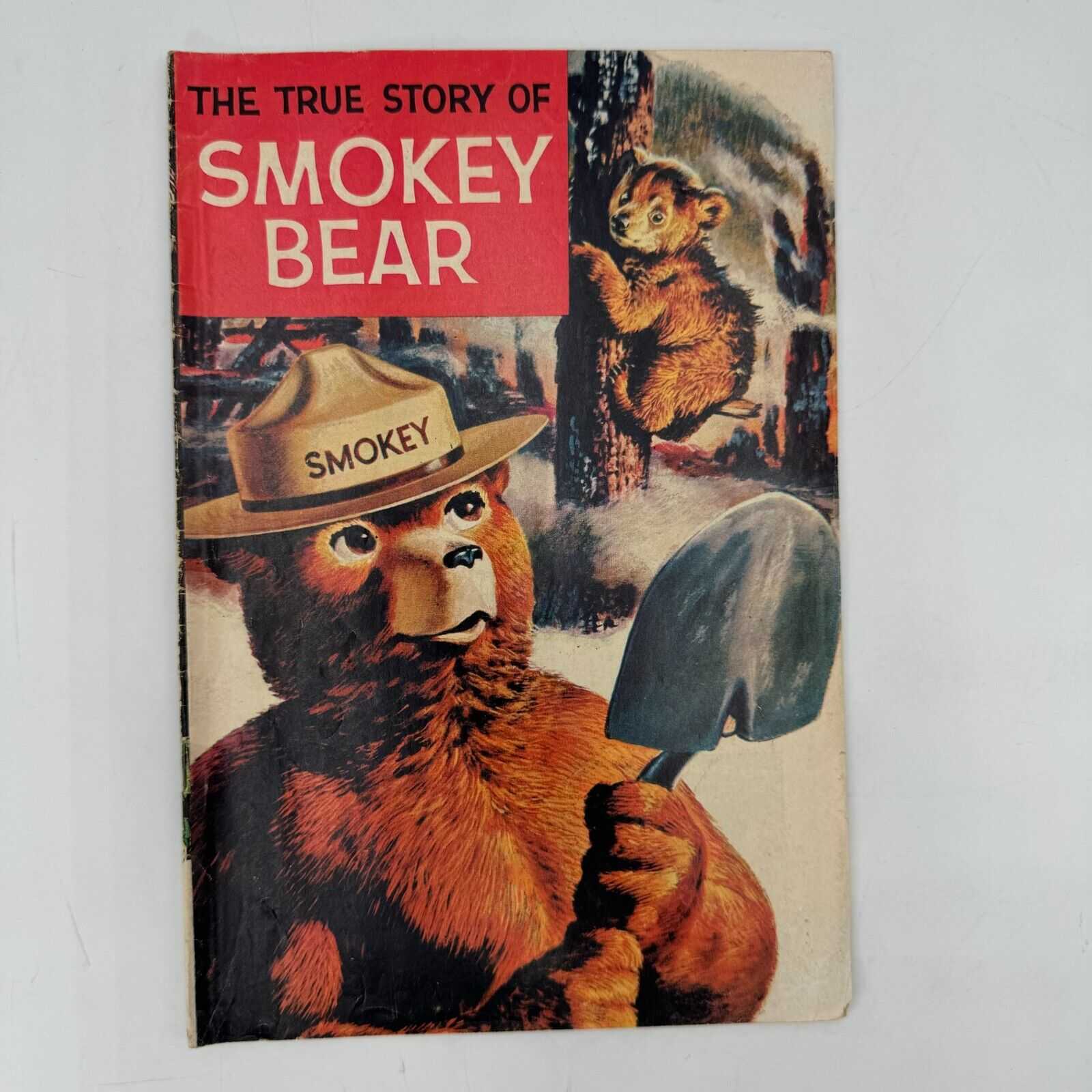 Lot of 2 Educational Comics Smokey Bear Fire Science Electronics Radio Shack VTG