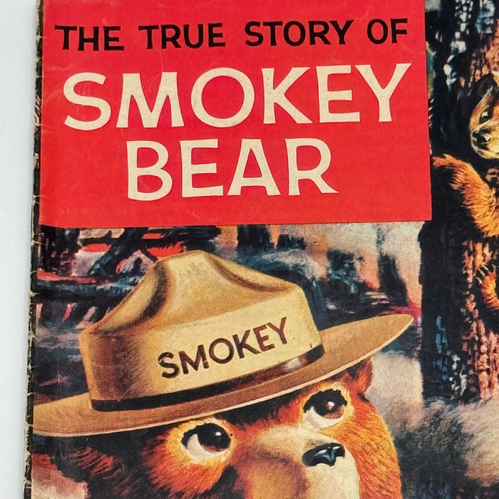 Lot of 2 Educational Comics Smokey Bear Fire Science Electronics Radio Shack VTG