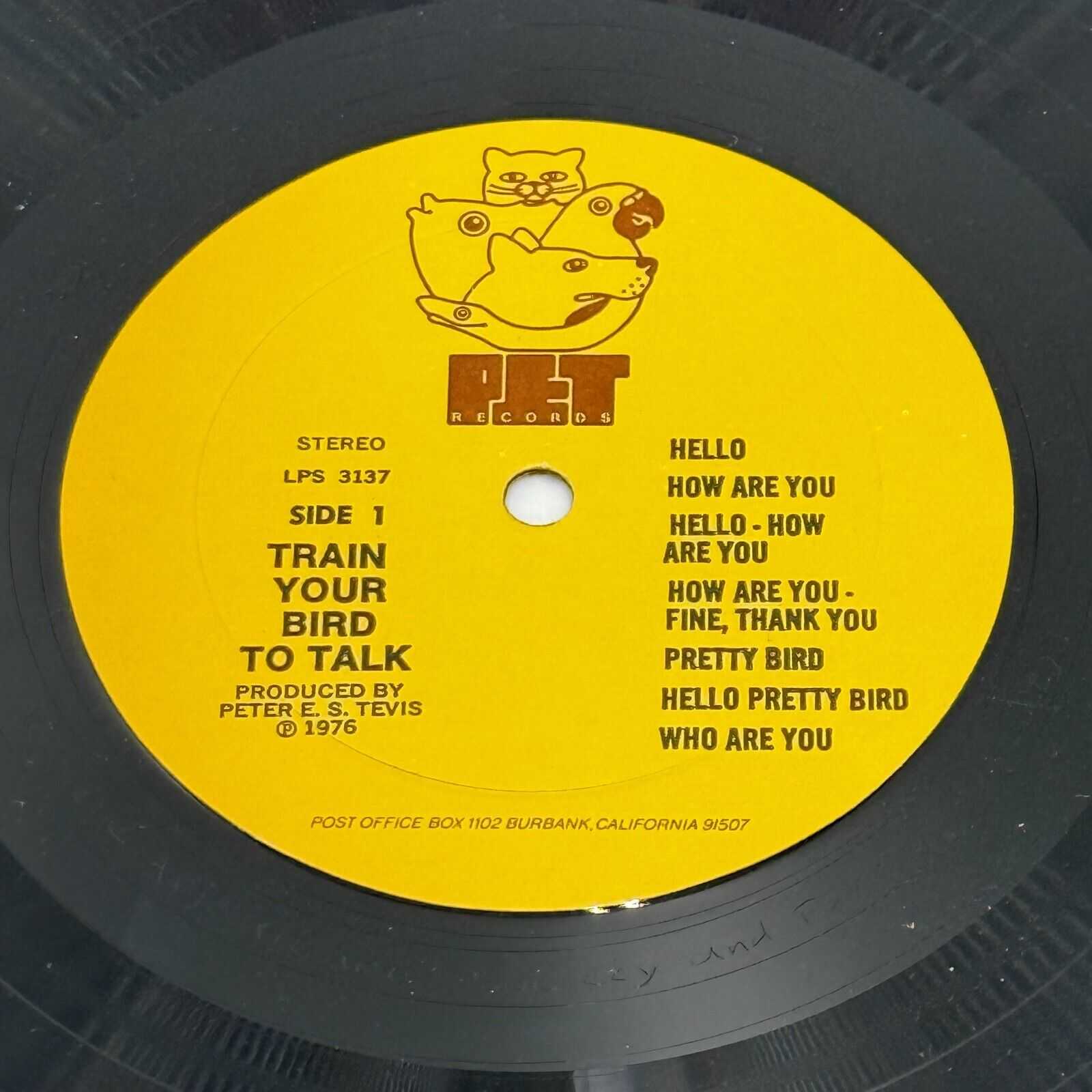 Train Your Bird to Talk 14 Lessons Plus Training Method Vinyl LP, 1976 PET 3137