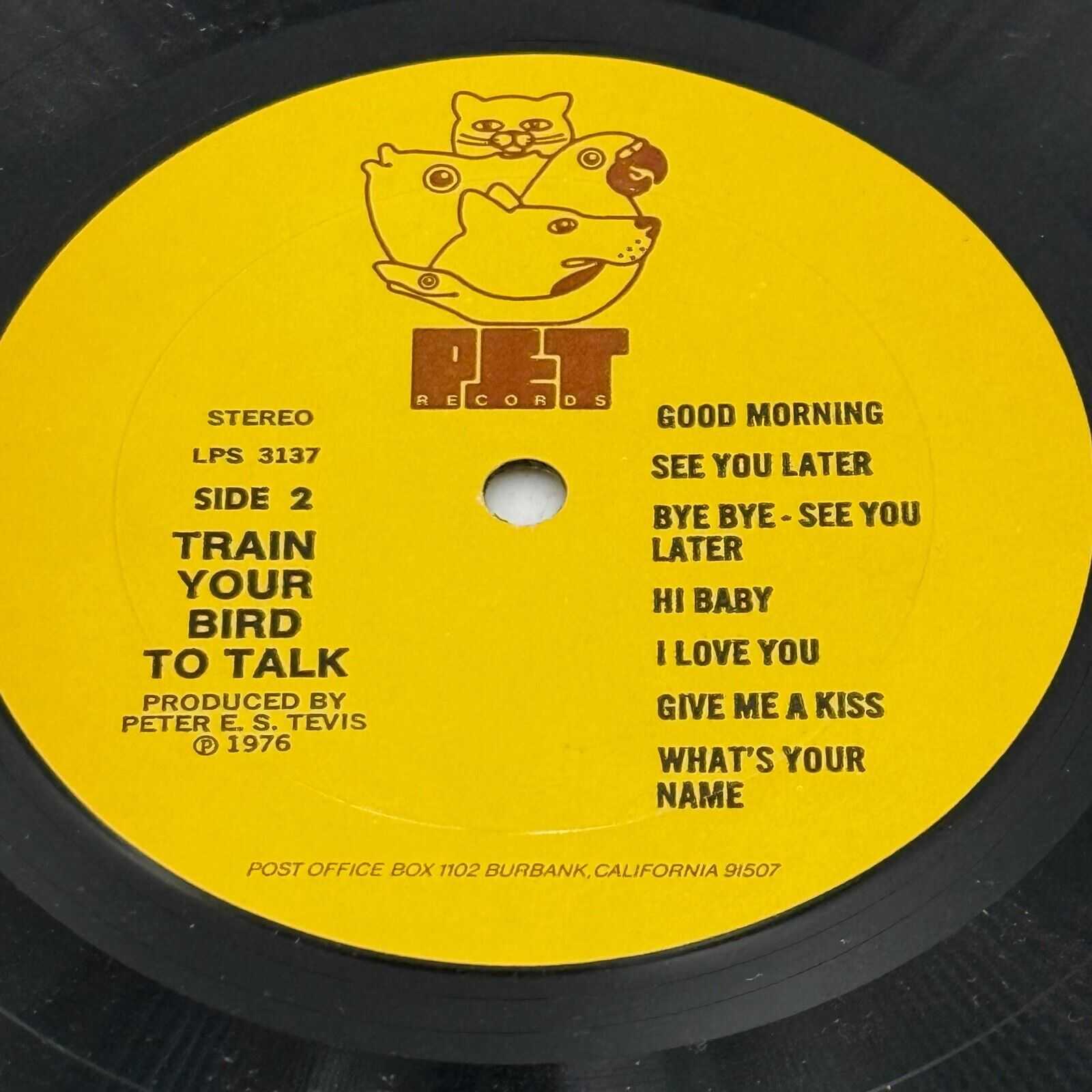 Train Your Bird to Talk 14 Lessons Plus Training Method Vinyl LP, 1976 PET 3137